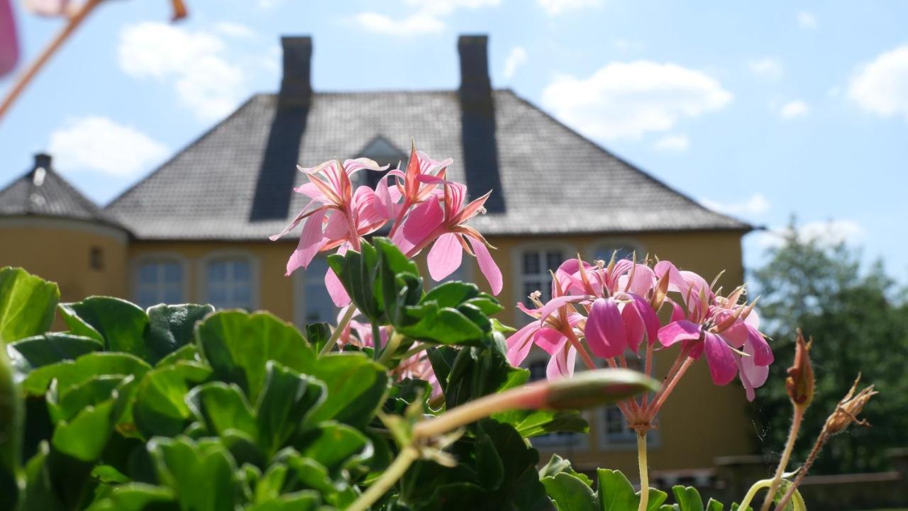 Hotel Schloss Diepenbrock Bocholt Exterior foto